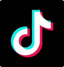 TikTok Icon